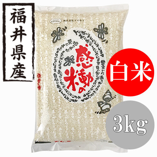 楽天市場】2024 新米 5kg お米 コシヒカリ 令和6年産 鹿児島県産