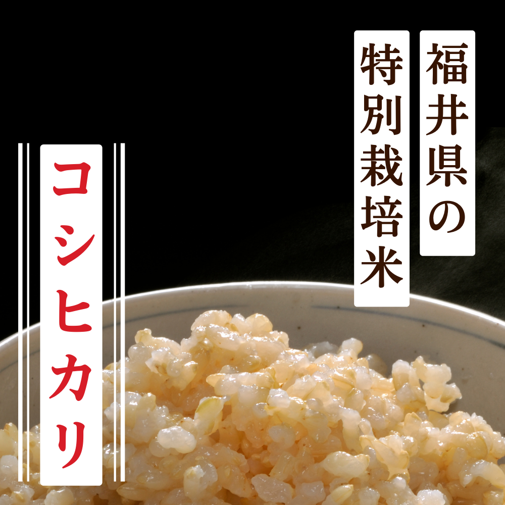 ☆石川県珠洲市産/コシヒカリ10kg/令和6年度産玄米/100%/農家直送/能登 ☆石川県珠洲市産/コシヒカリ10kg/令和6年度産玄米/100%/農家直送/能登