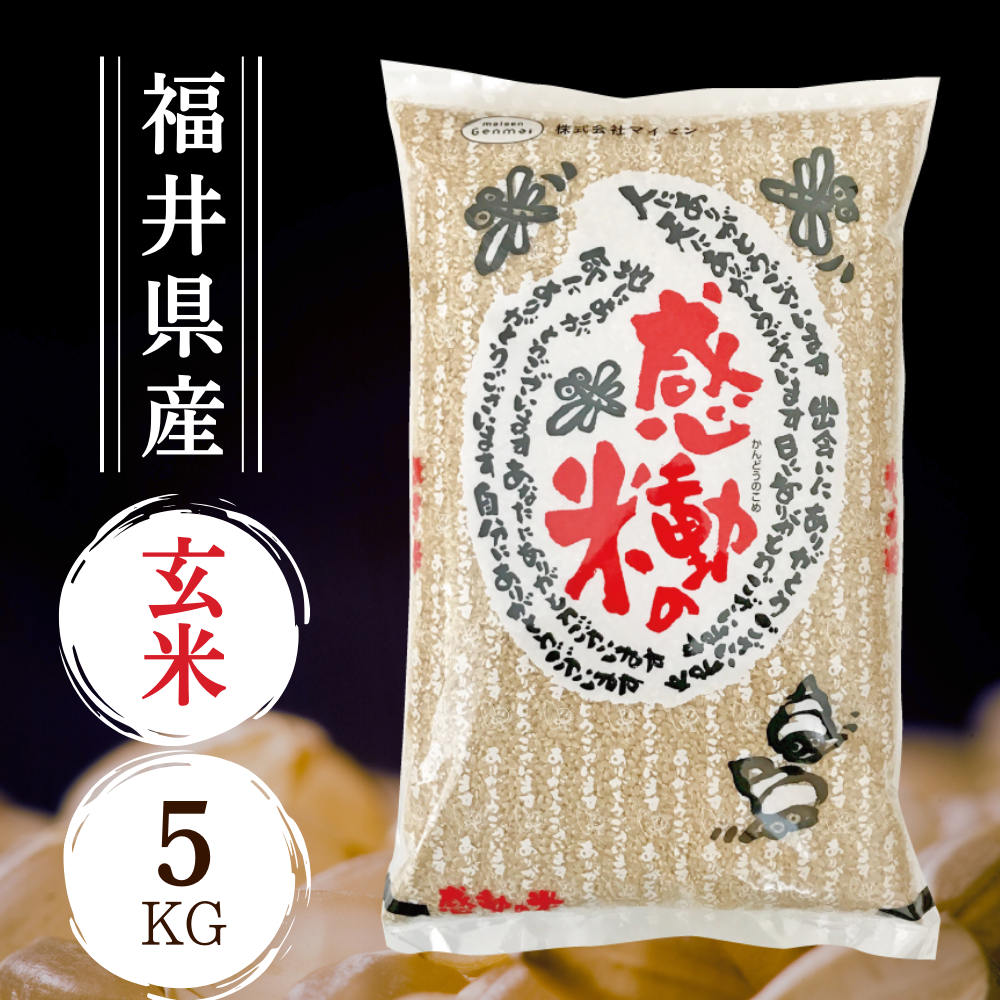 コシヒカリ 矢作の恵 9kg コシヒカリ 矢作の恵 9kg