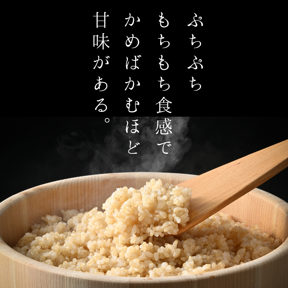 マイセン 感動の米 いちほまれ 玄米 5kg 令和6年度産 | 亀田製菓
