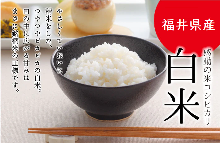 マイセン 感動の米コシヒカリ白米 3kg 令和6年度産 | 亀田製菓